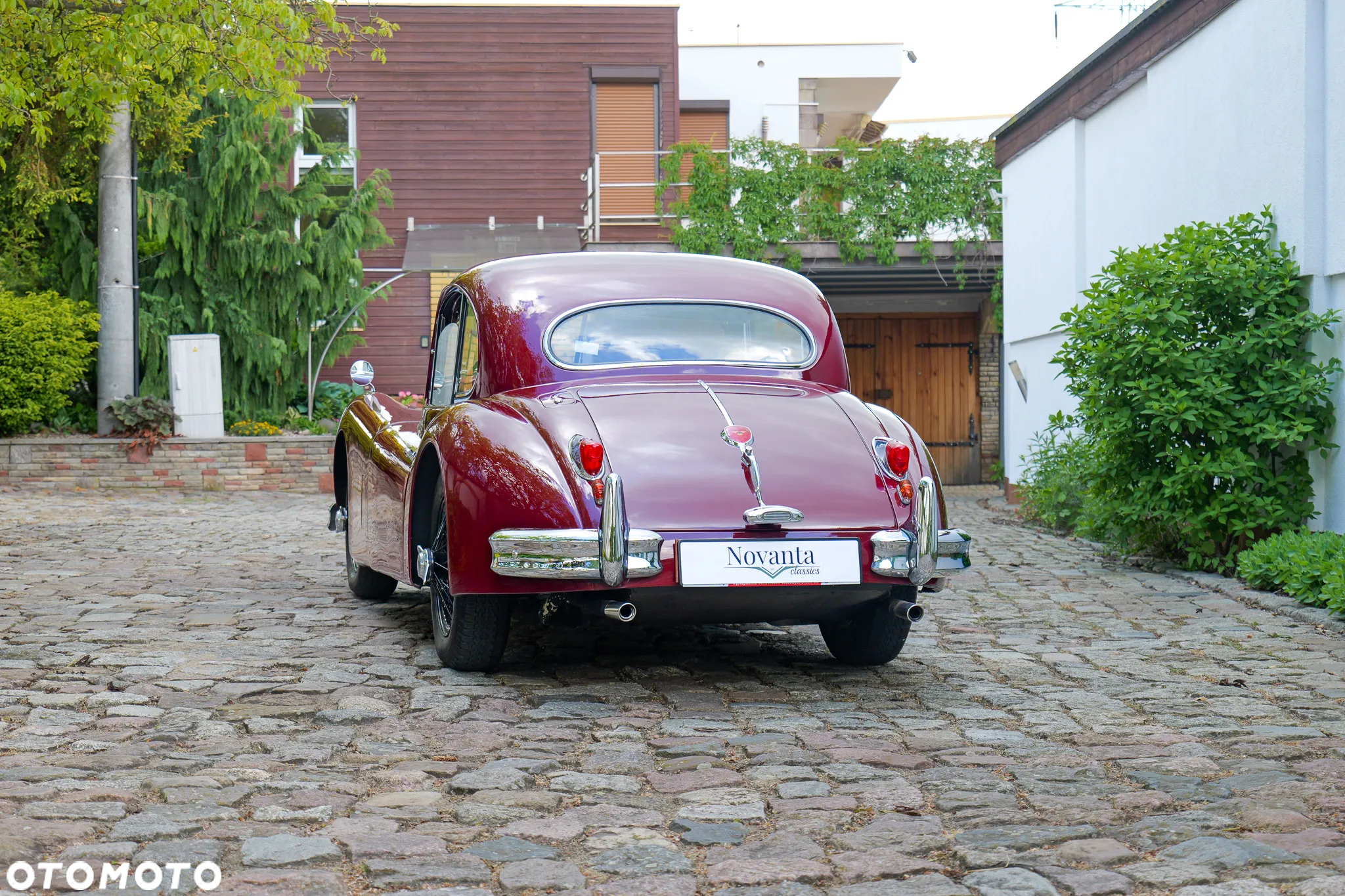 Jaguar XK - 9