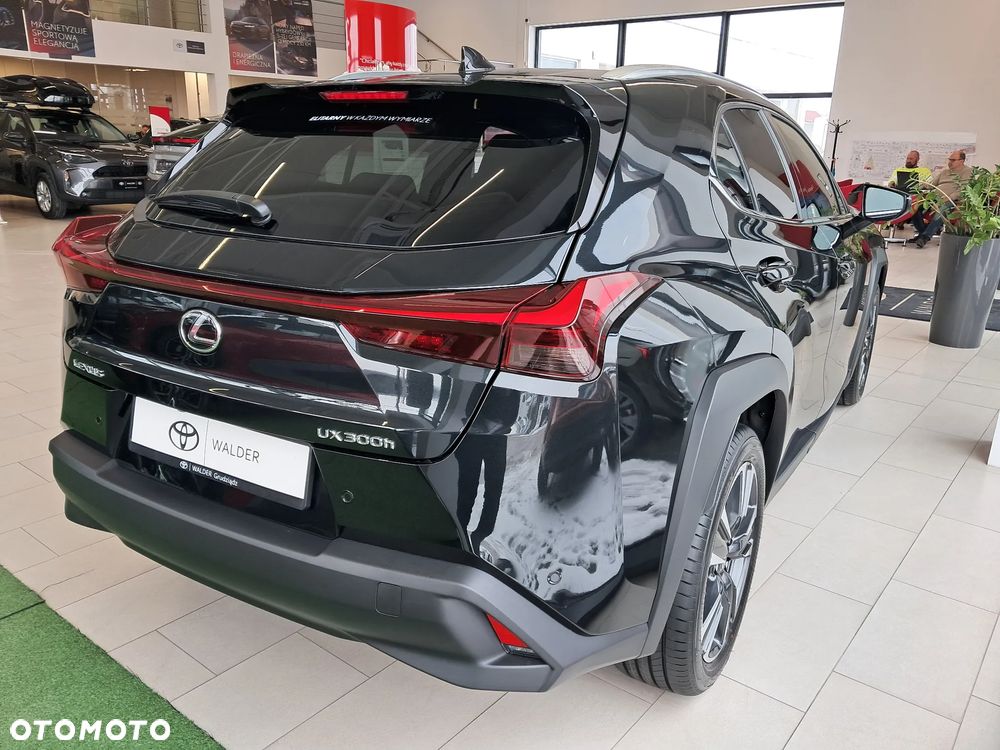 Lexus UX 300h Business - 6