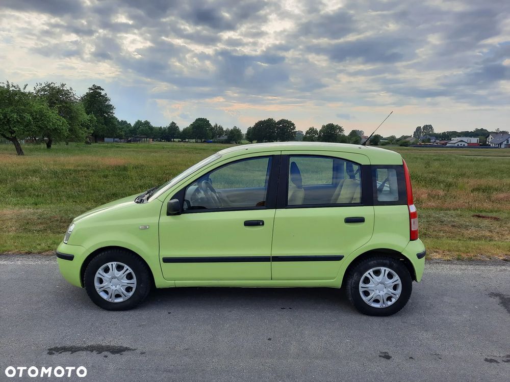Fiat Panda 1.2 Dynamic Plus - 7