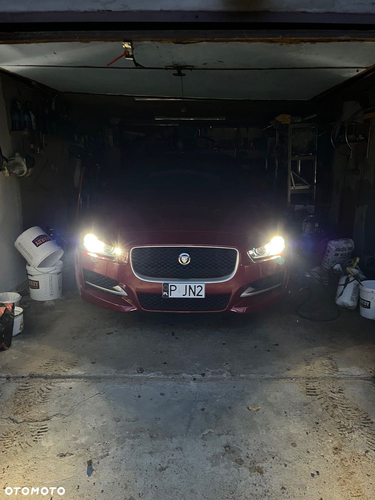 Jaguar XE - 15