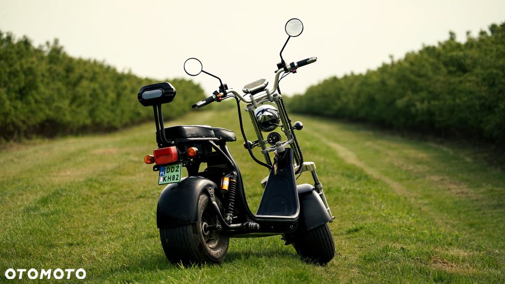 Bili Coco Big Chopper - 2