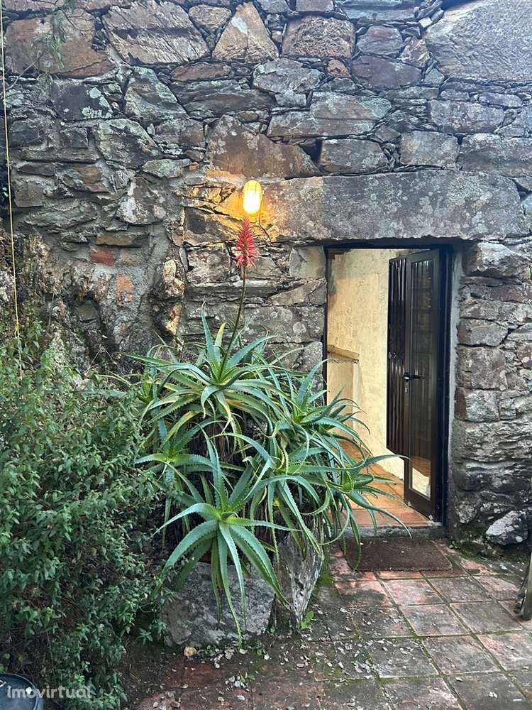 Moradia T1 Arrendamento em Oleiros-Amieira,Oleiros - Grande imagem: 3/31