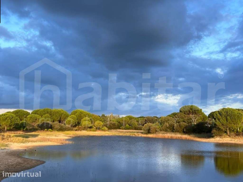 Terreno Herdade do Zambujeiro - Grande imagem: 4/4