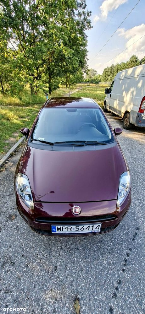 Fiat Punto - 6