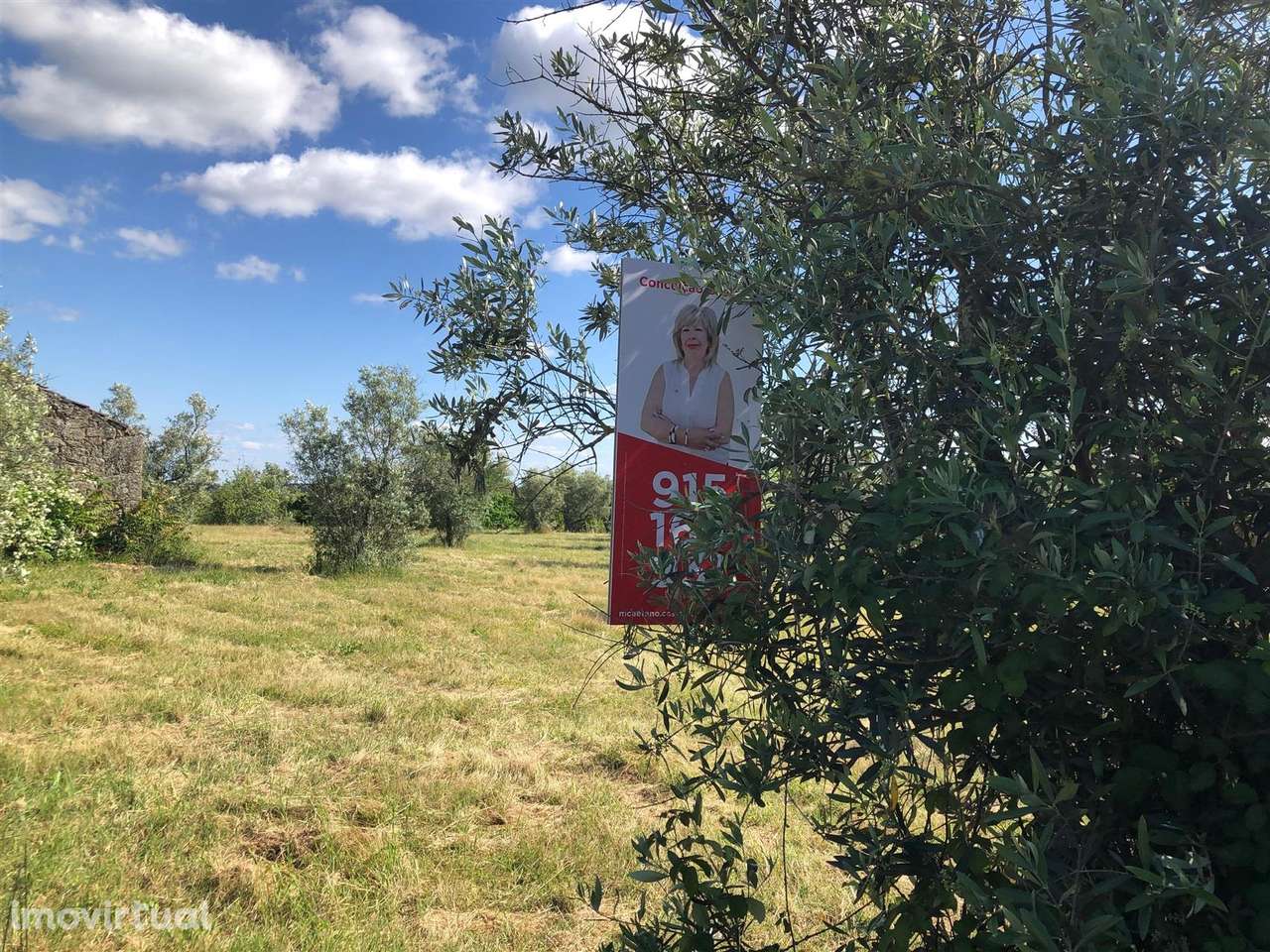 Terreno - Grande imagem: 2/12