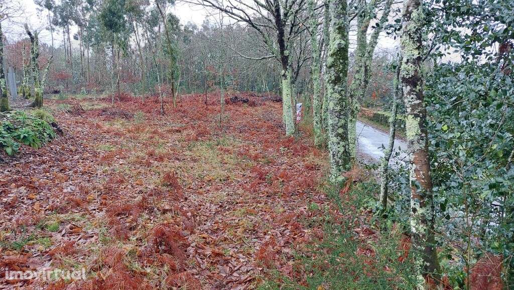 Terreno rústico - Agra, Rossas - Grande imagem: 4/9