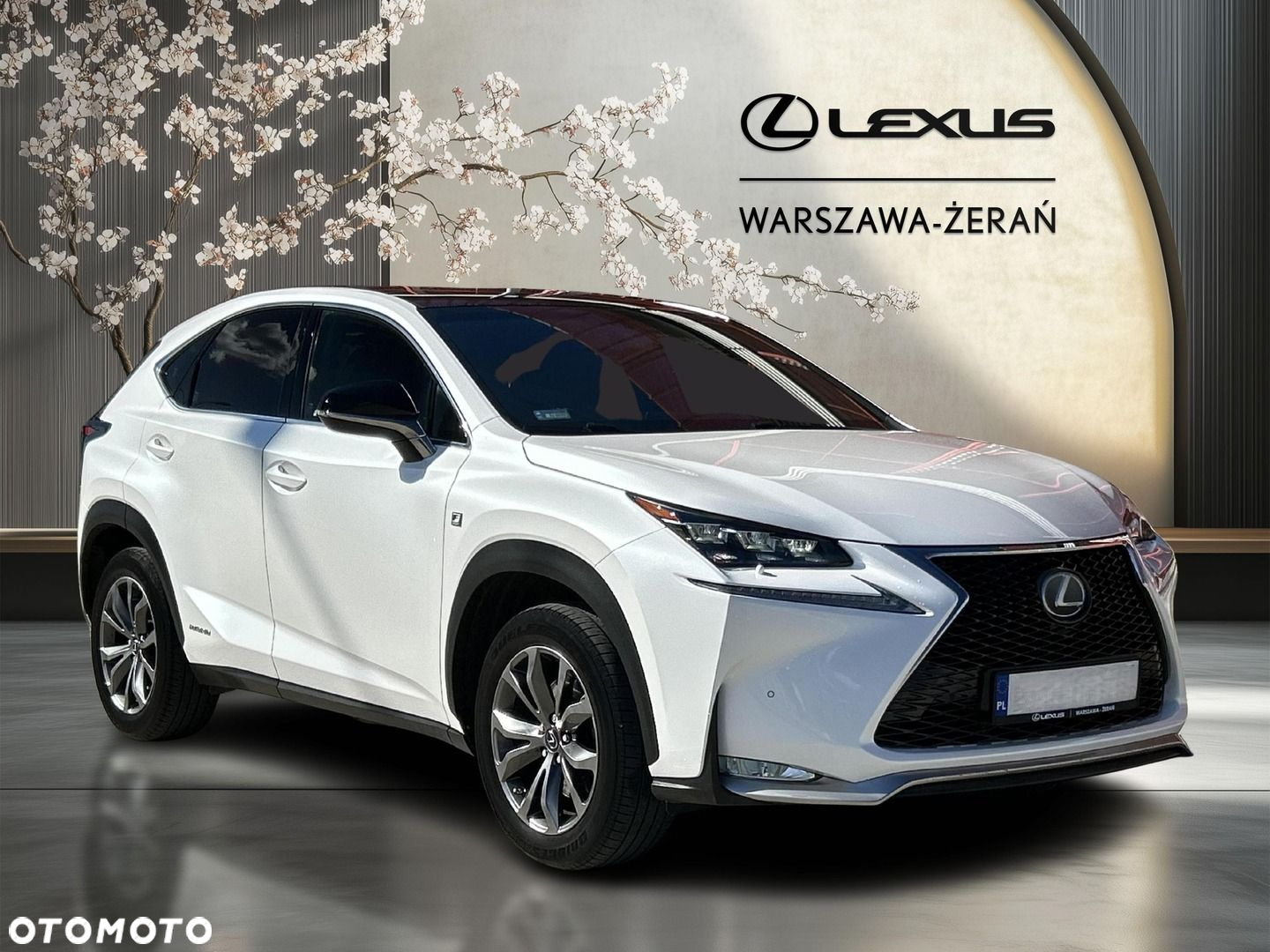 Lexus NX 300h F Sport AWD - 9
