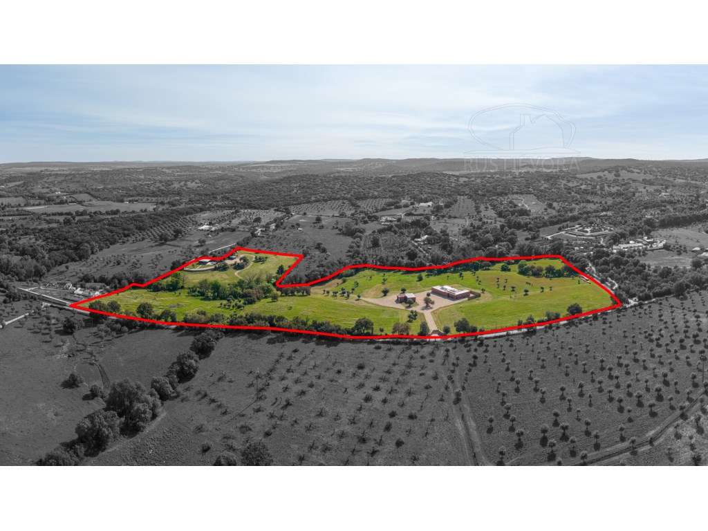 Um Refúgio Exclusivo no coração do Alentejo | Montemor-o-Novo | Por... - Grande imagem: 2/60