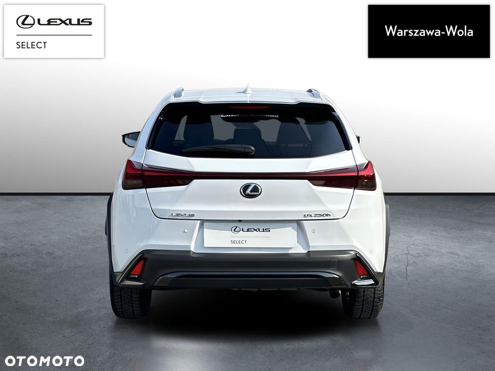 Lexus UX 250h GPF F Sport Design 2WD - 6