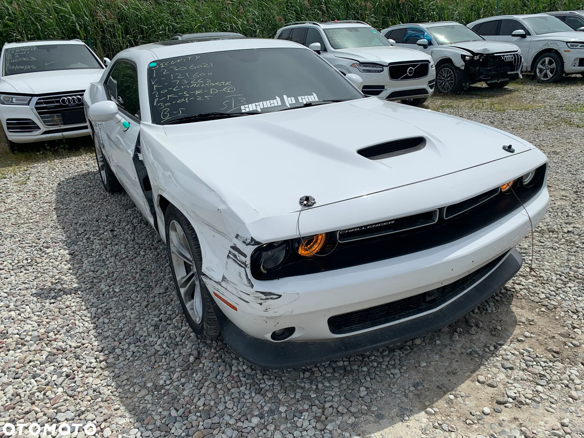 Dodge Challenger Automatik SXT Plus - 4
