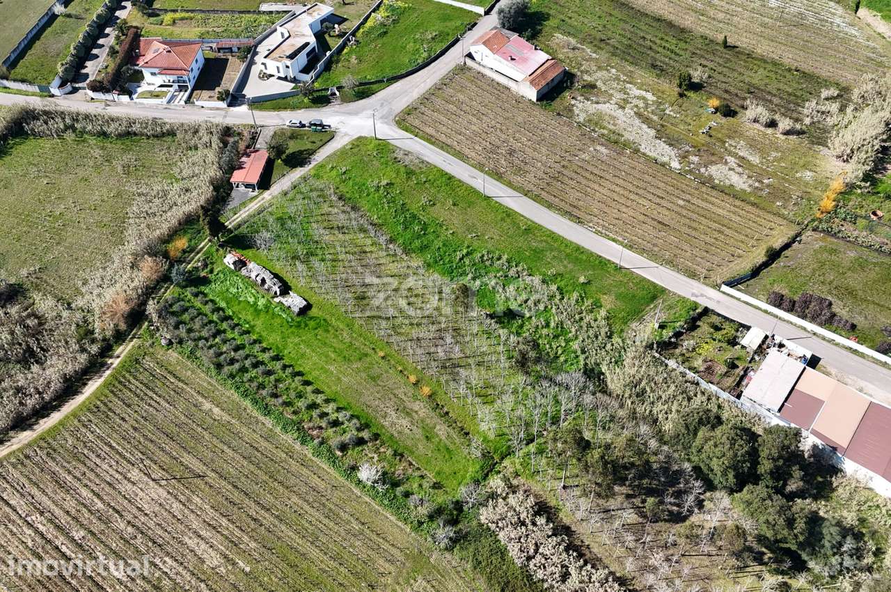 Terreno Urbanizável, 1840 m, Bairrada - Grande imagem: 4/16