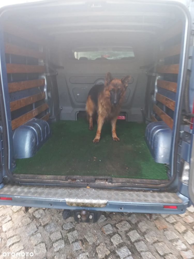Renault Trafic L2H1 - 9