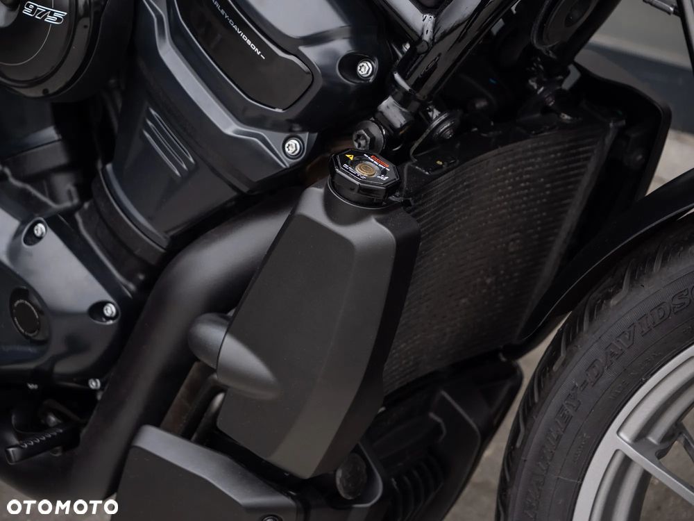 Harley-Davidson Sportster Nightster 975 - 15
