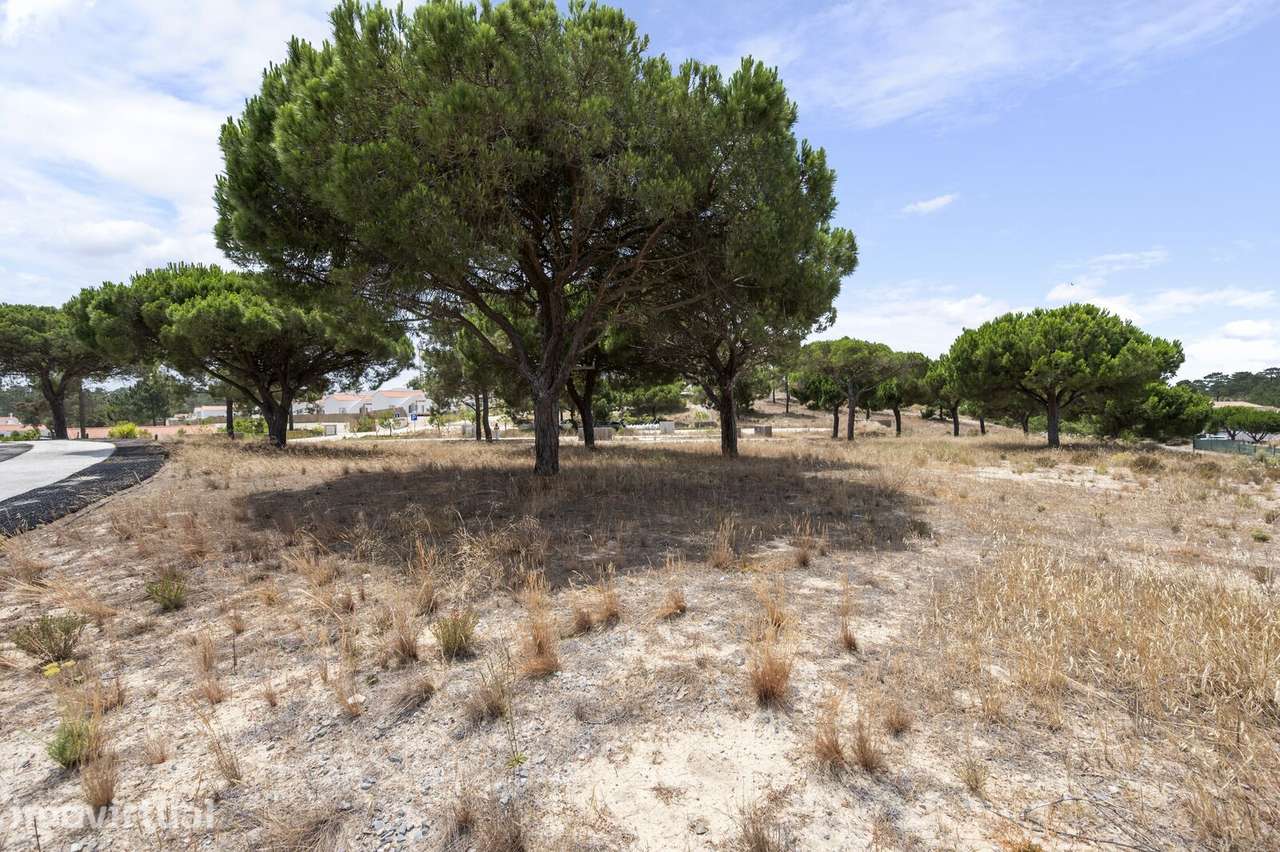 Lote 997 m2, Carvalhal, Grandola - Grande imagem: 3/18