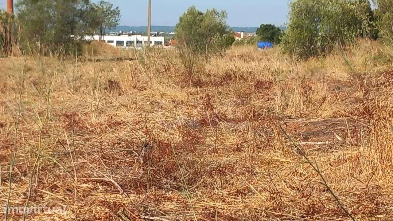 Terreno | 21.960 m² | Viabilidade construtiva | Vila Nova da Barquinha - Grande imagem: 5/17