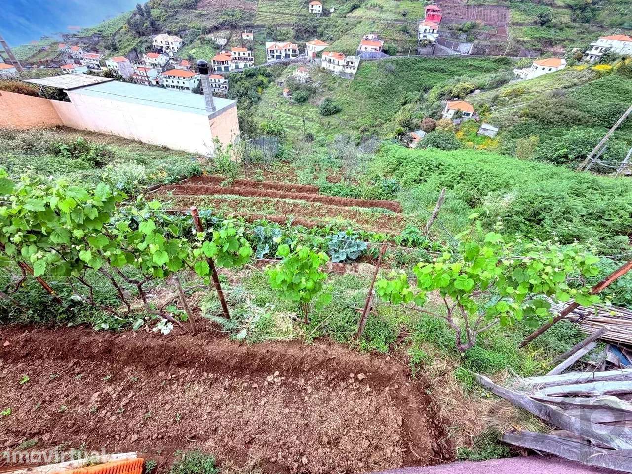 Terreno - Estreito de Câmara de Lobos - Grande imagem: 5/11