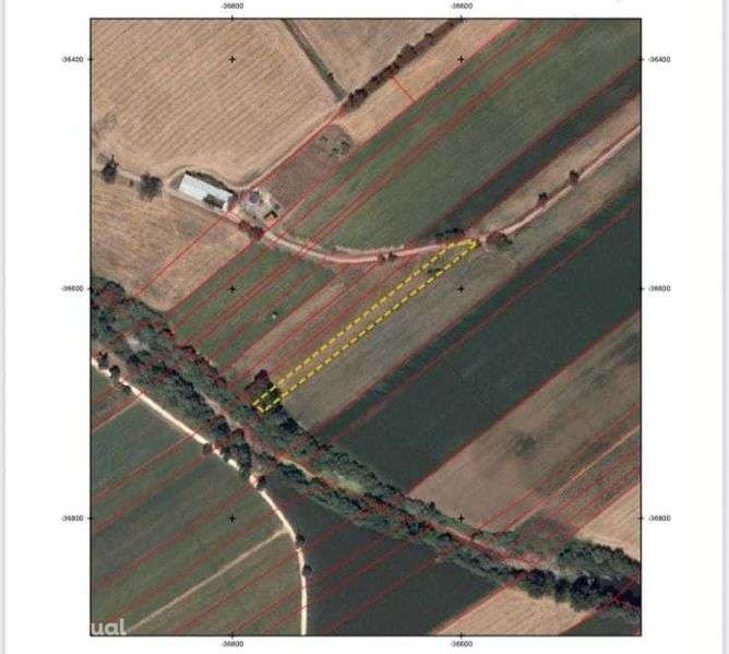 Terrenorustico em POMBALINHO - GOLEGA - Grande imagem: 4/4