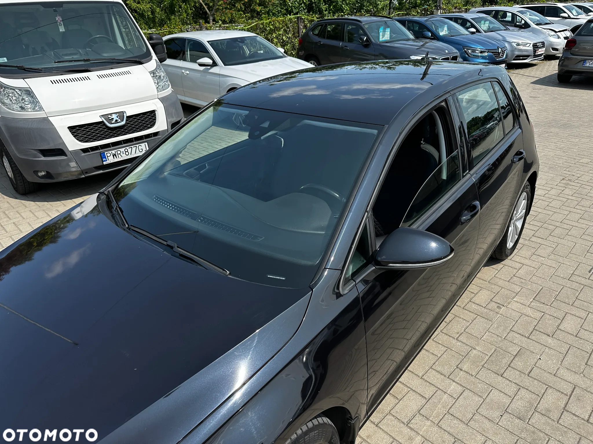 Volkswagen Golf - 33