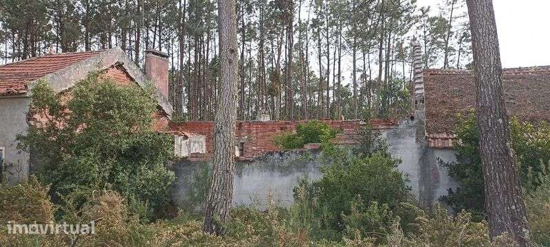 Casa rústica para recuperar - Grande imagem: 4/4