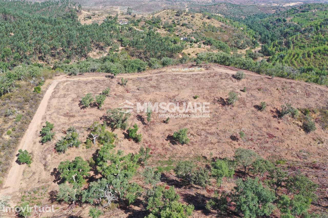 Terreno Rústico  Venda em Ourique,Ourique - Grande imagem: 3/11