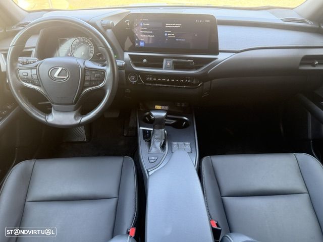 Lexus UX 250h - 14