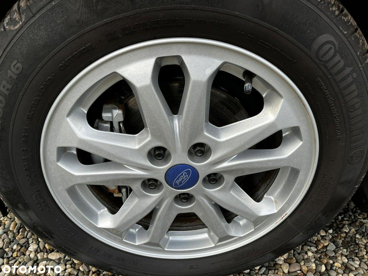 Ford Focus - 32