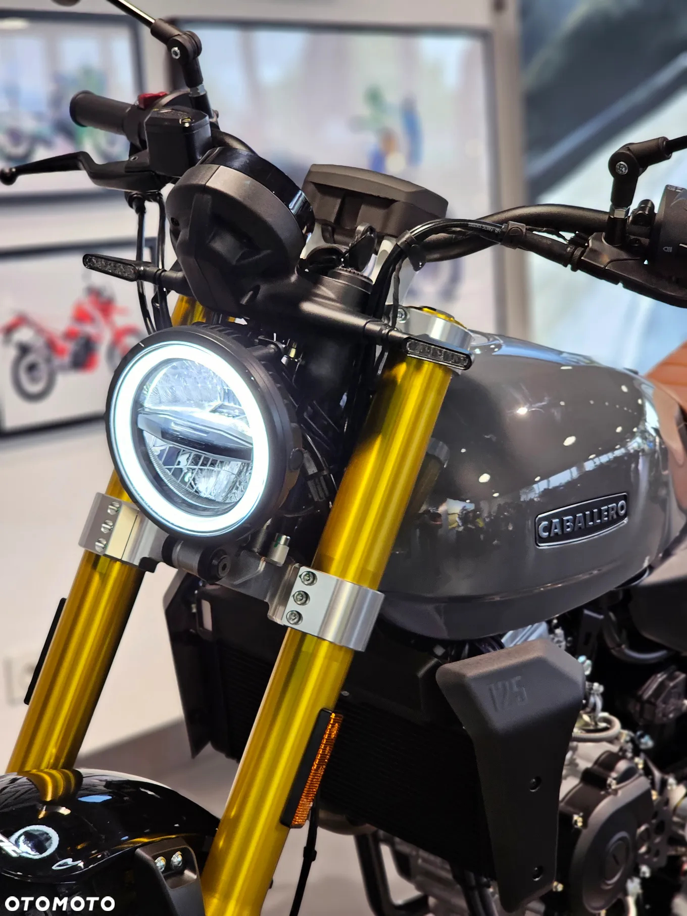 Fantic Inny - 25