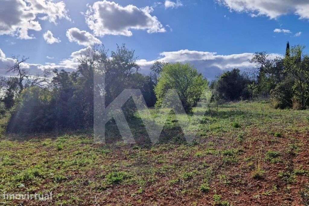 Ruína em malha URBANA, Corçitos, Querença, Loulé - Grande imagem: 3/16