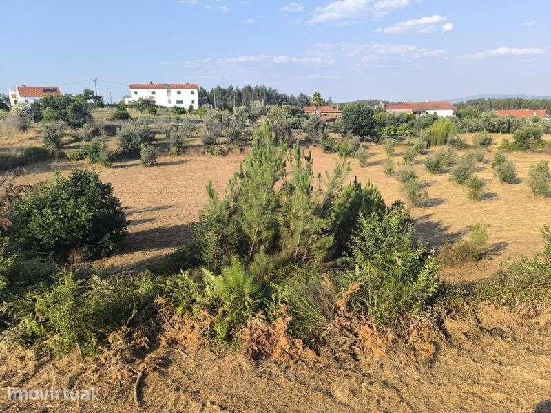 Quinta  Zona Centro 18.000 m² localização previligiada - Grande imagem: 4/8