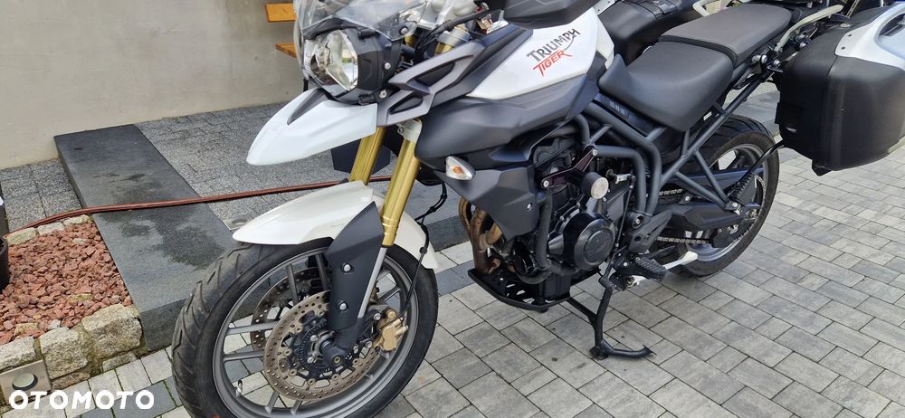 Triumph Tiger - 5