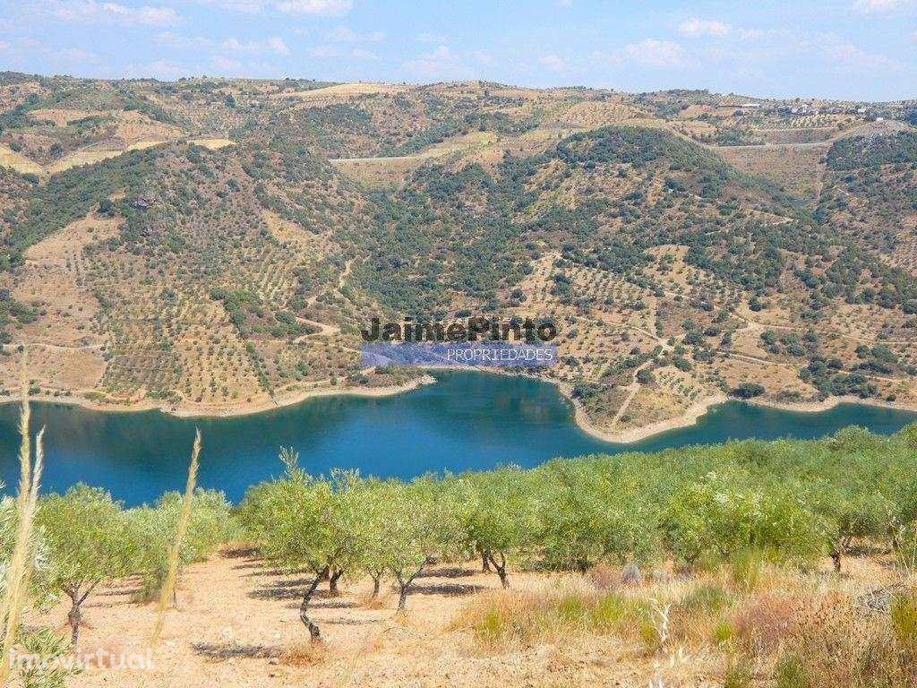17.500m2 TERRENO rústico, em patamares, Vista Lago Sabor. Portugal,... - Grande imagem: 2/9