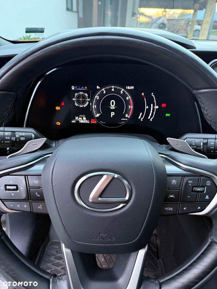 Lexus RX - 10