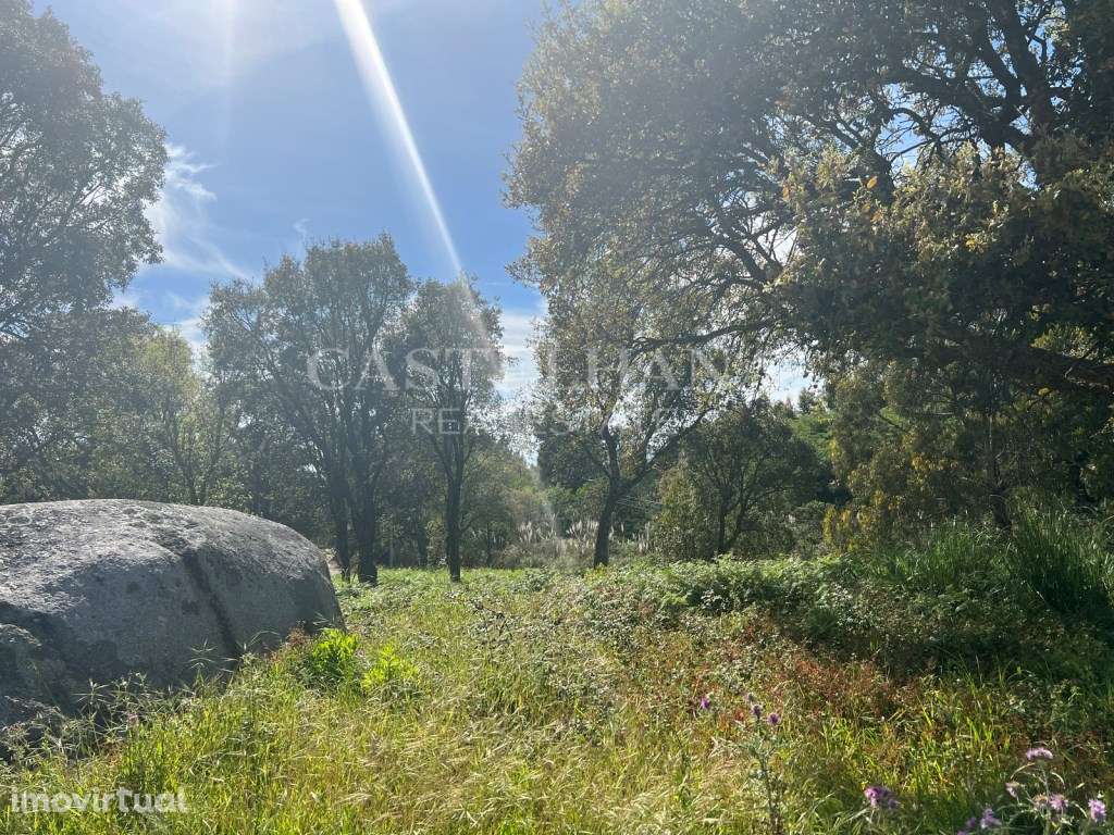 Terreno Urbano para habitação, comercio ou serviços, com vistas de mar - Grande imagem: 5/29