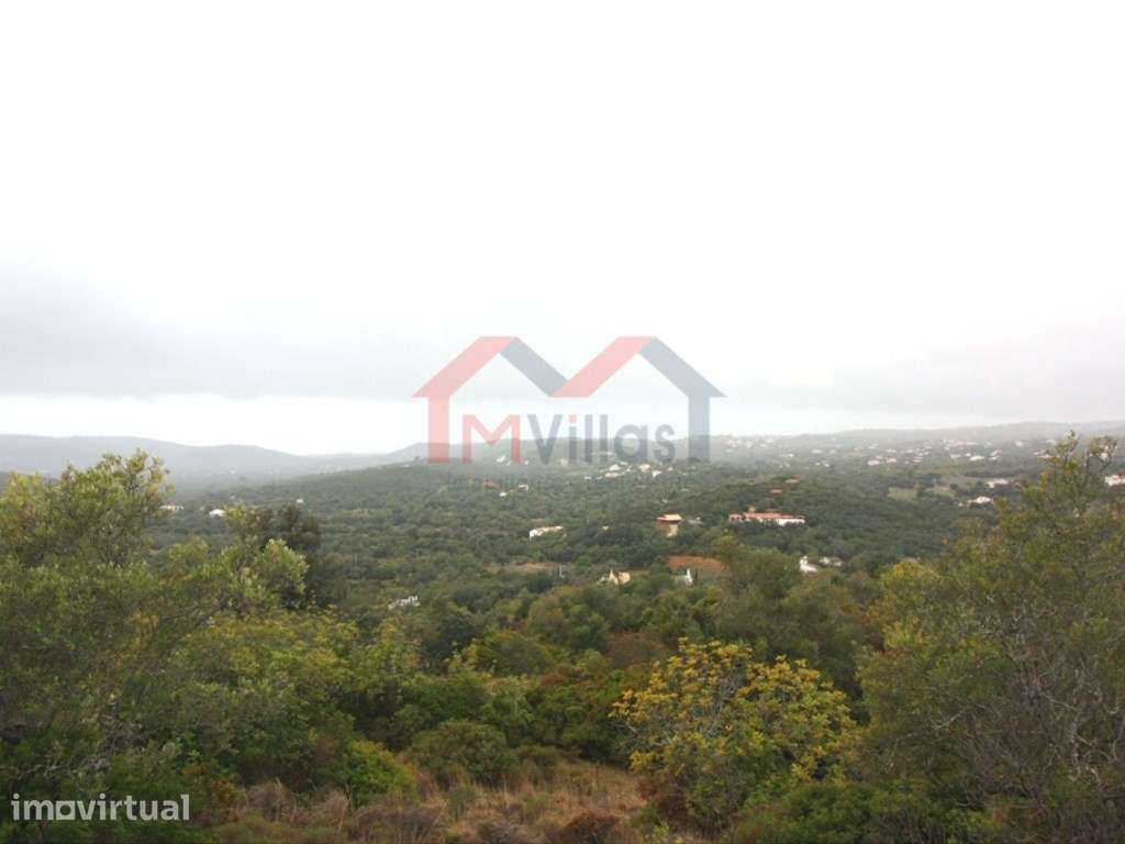 Terreno com ruína - Santa Barbara de Nexe - Grande imagem: 2/4