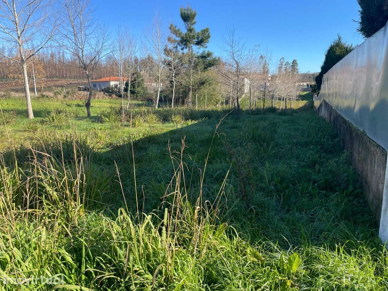 TERRENO PARA CONSTRUÇÃO - CAVADAS DE CIMA - MACINHAT DO VOUGA - Grande imagem: 4/10
