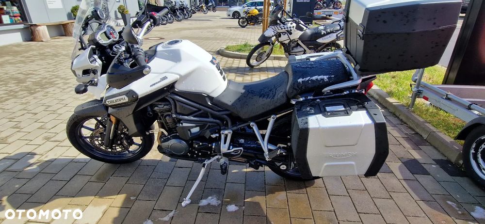 Triumph Tiger - 6