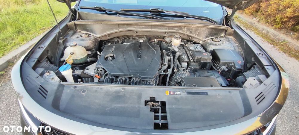 Kia Sorento - 21