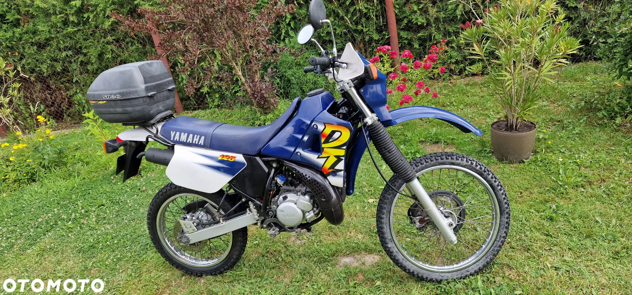 Yamaha DT - 7