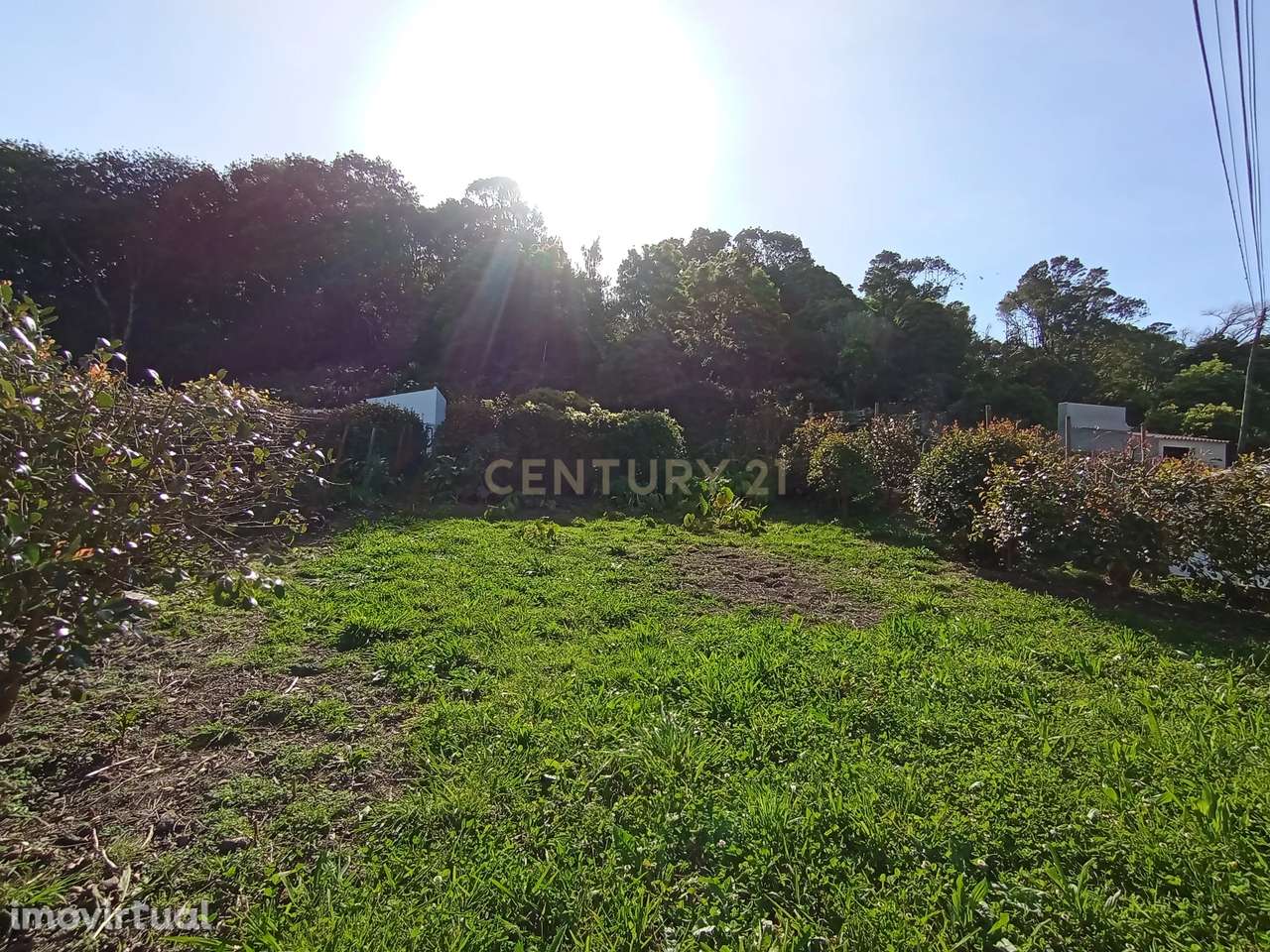 Terreno com Vista Campestre em Guadalupe, Graciosa - Grande imagem: 4/4