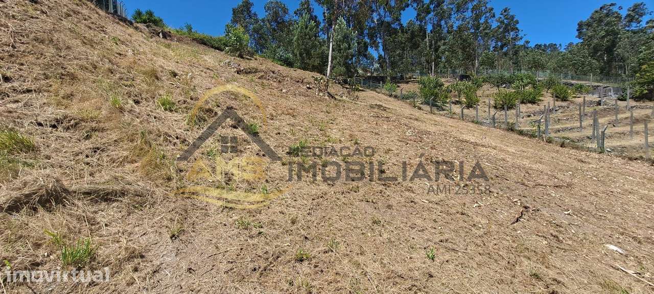 Terreno para construção em Golães 2500m2 - Grande imagem: 4/11