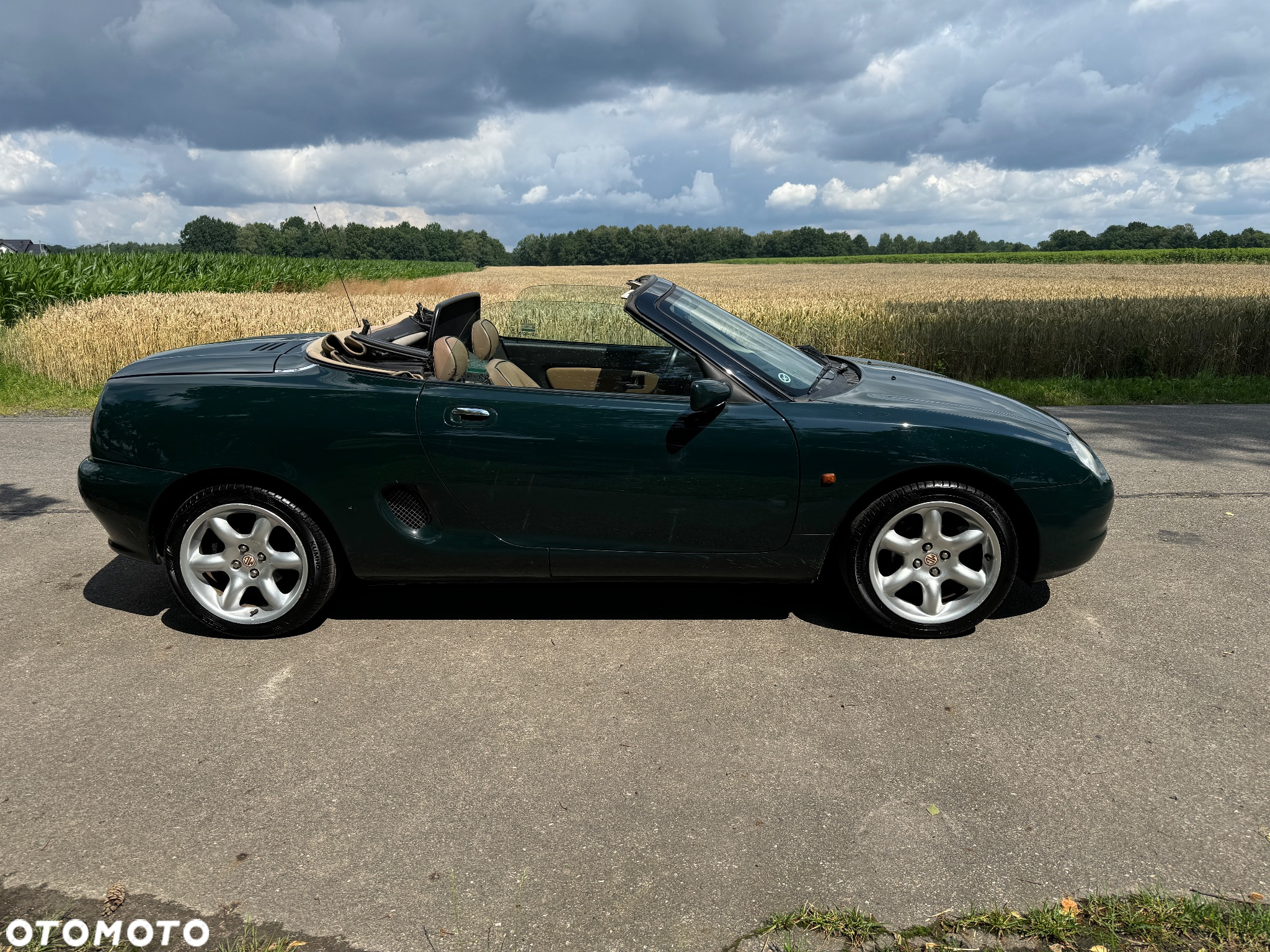 MG MGF - 4