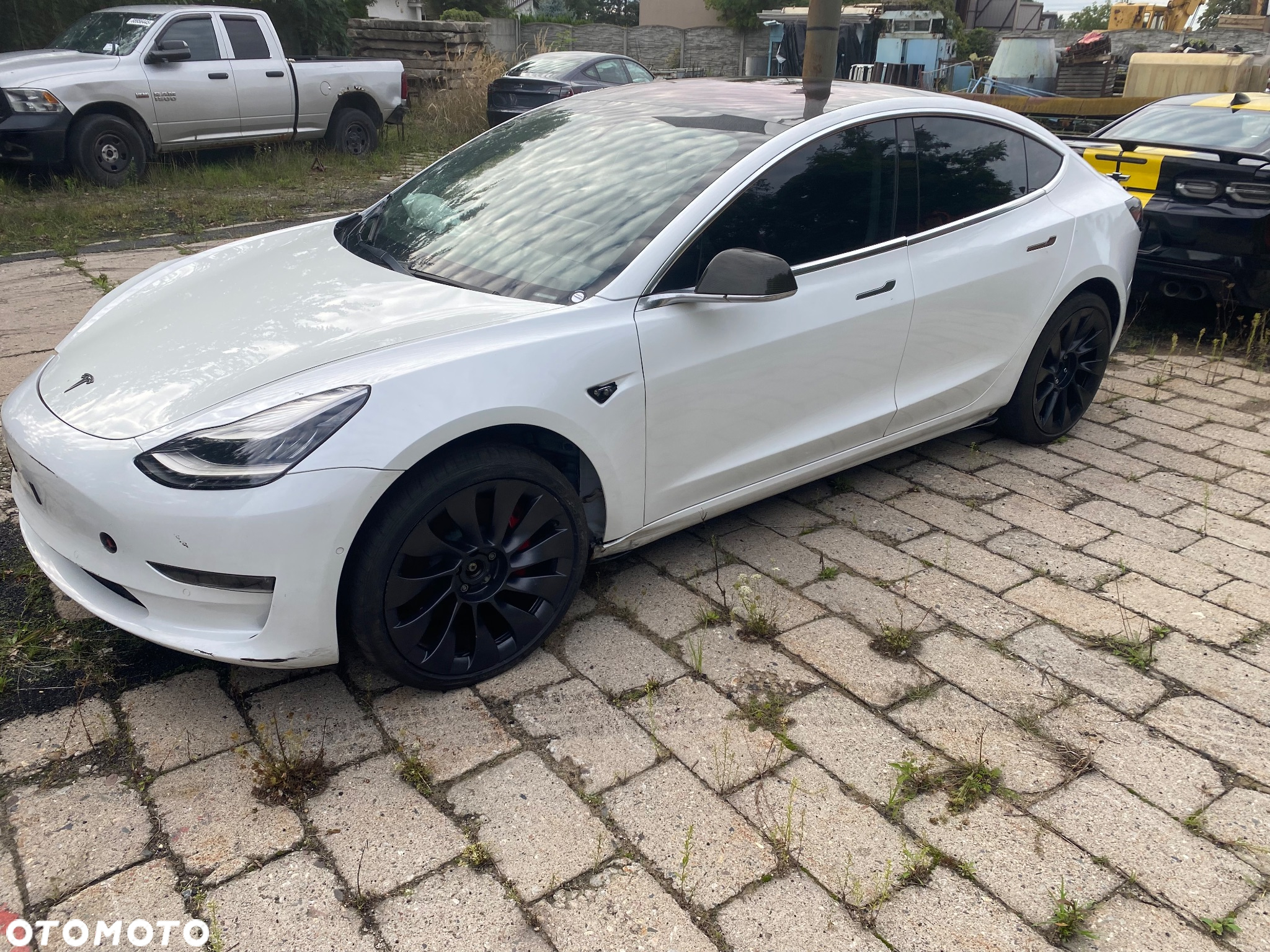 Tesla Model 3 Performance AWD Ludicous - 5