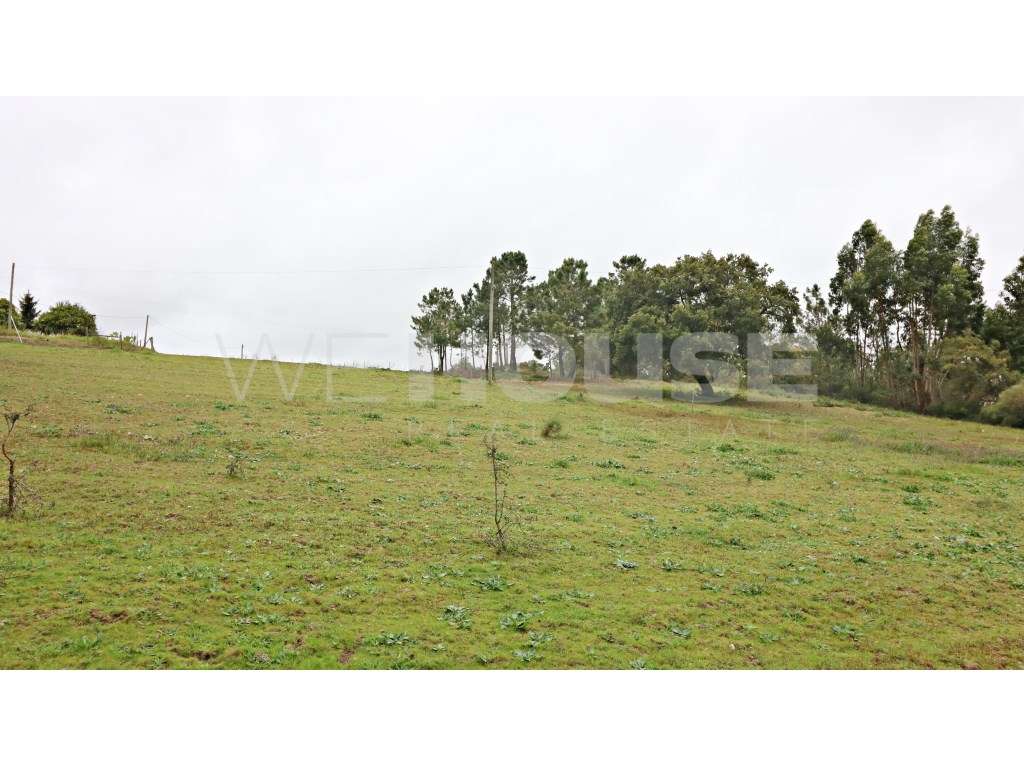 Terreno Urbano - Barra Cheia/Alhos Vedros - Grande imagem: 3/4