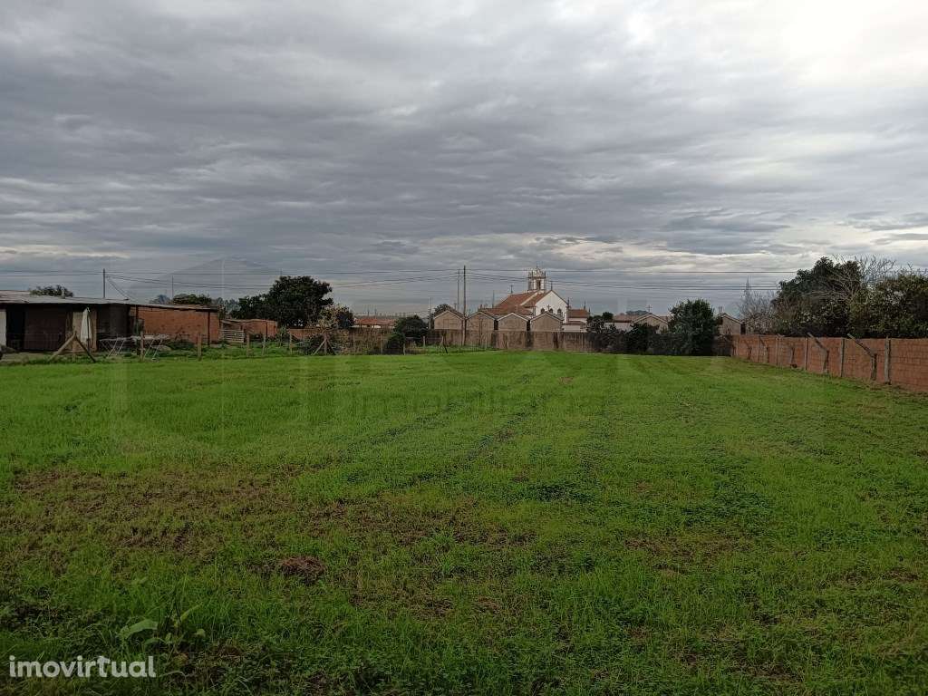 Terreno com 32m de frente Estarreja - Centro - Grande imagem: 5/13
