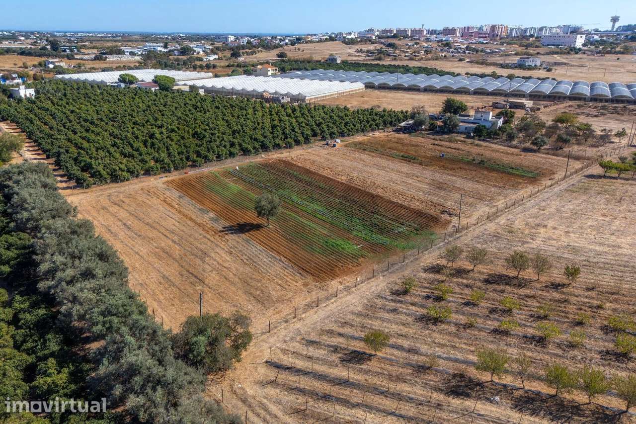 Quinta com Moradia de 217m2 e terreno de 17.040 m2  | Boleta, Faro - Grande imagem: 3/60