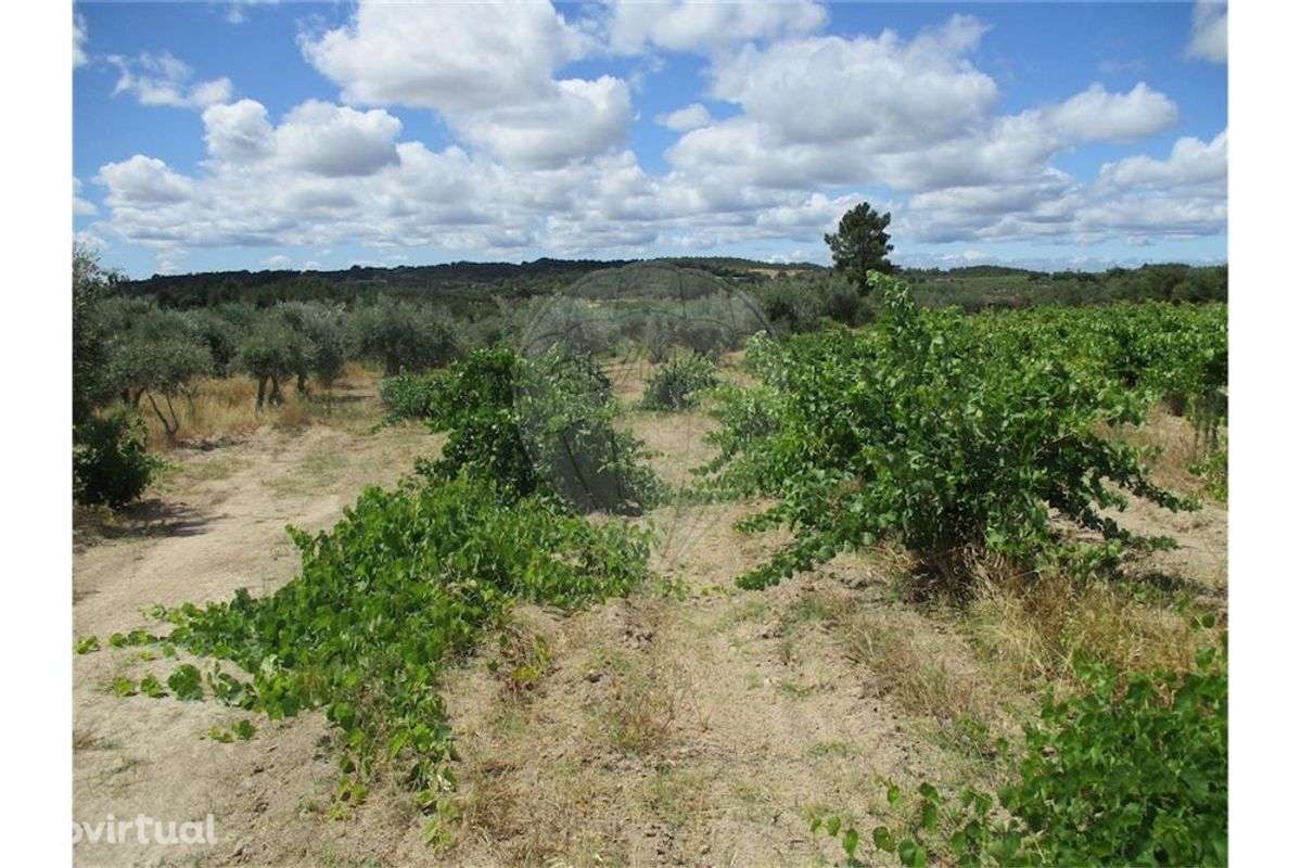 Quinta T0 para venda - Grande imagem: 3/7