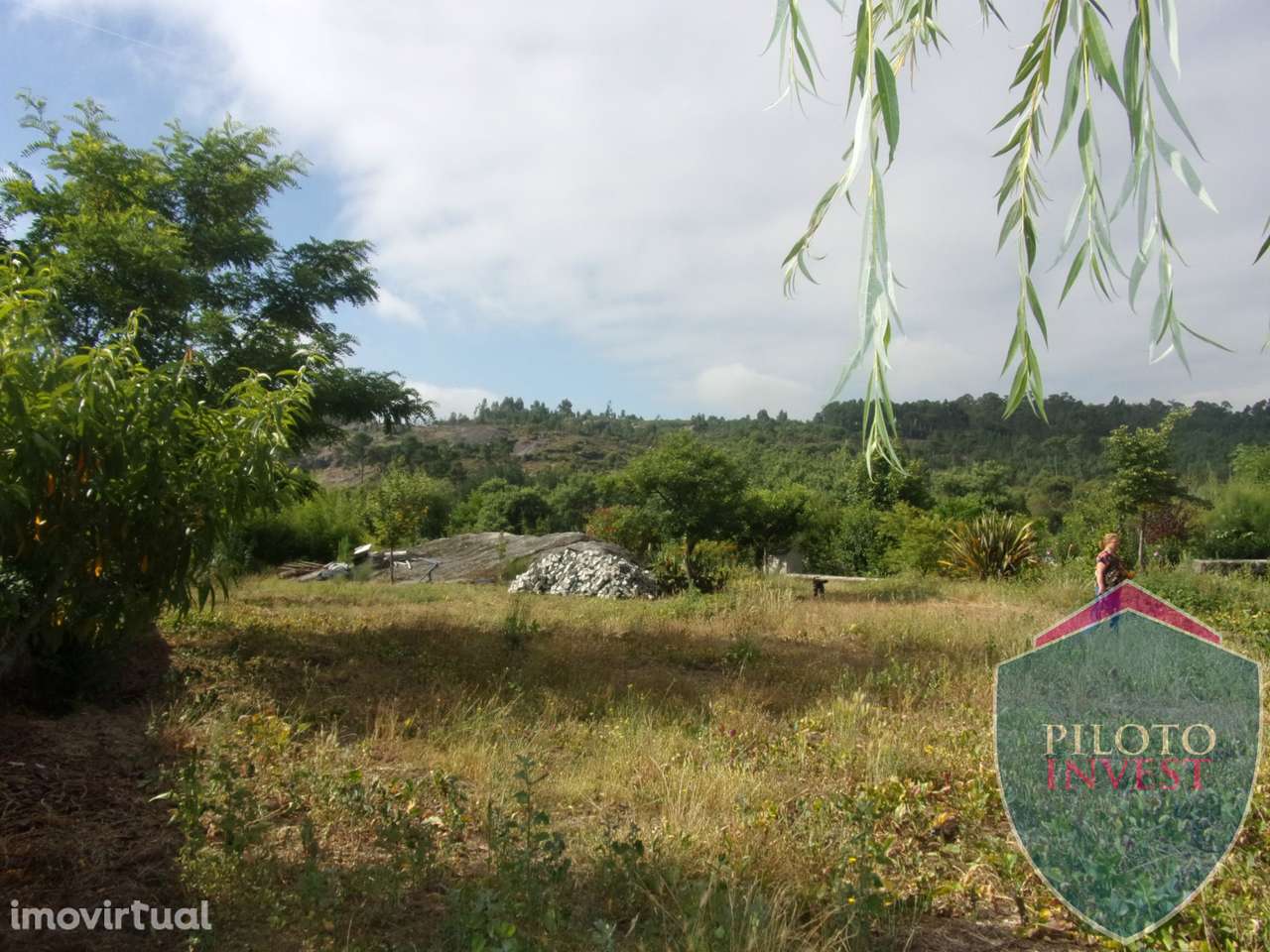 Quinta  Venda em Faíl e Vila Chã de Sá,Viseu - Grande imagem: 5/22