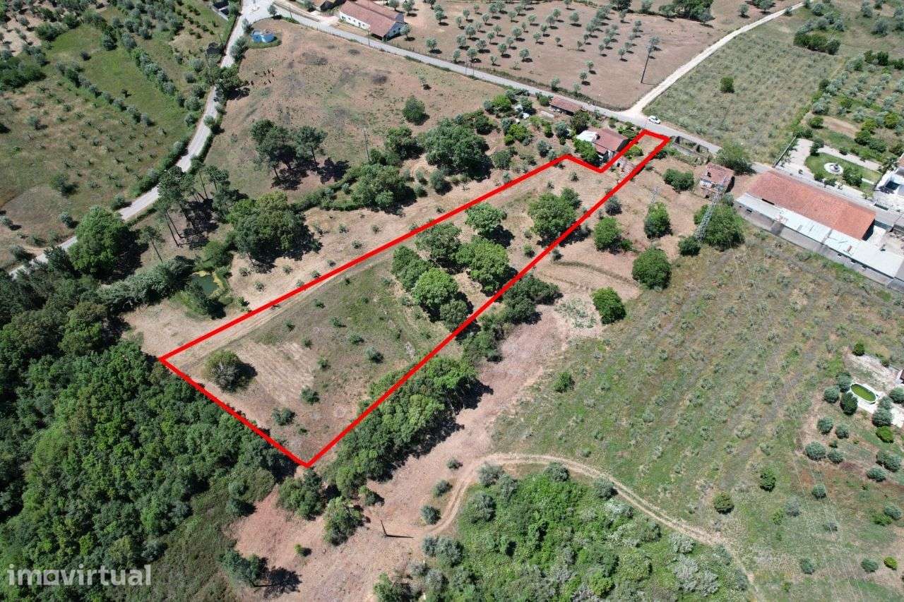 Terreno para Construção em Tomar - Grande imagem: 2/9