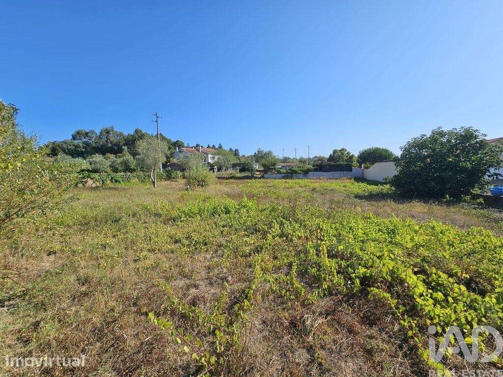 Casa / Villa em Mangualde, Mesquitela e Cunha Alta - Grande imagem: 3/4