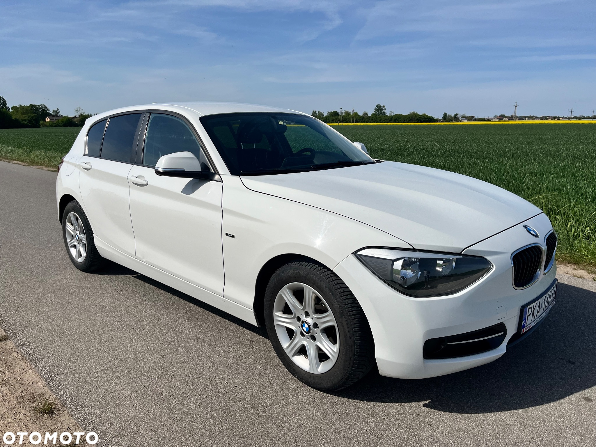 BMW Seria 1 114i Sport Line - 10